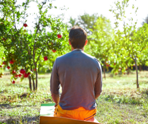 5 Reasons Why Gardening can Make you Healthy - perthfruittree