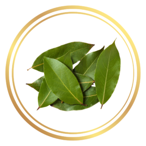 Bay Leaves Tree