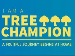Be a Tree Champion and Help Save the Environment - perthfruittree
