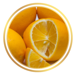 Citrus Fruit Tree Lemon Meyer