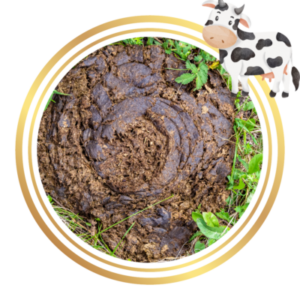 Manure Fertiliser Cow Sheep Chicken