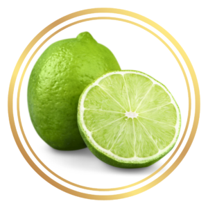 Dwarf Citrus Sublime Patio Lime Fruit Tree