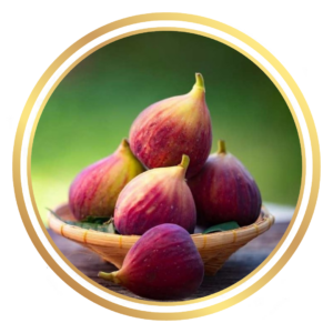 Dwarf Fig Tree Sweet Temptation