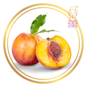 Dwarf Peach Fruit Tree