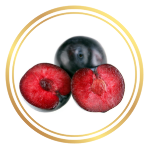 Dwarf Fruit Tree Plum Red Flesh