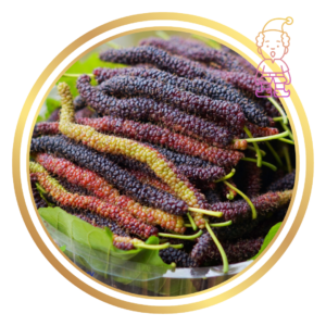 Dwarf Mulberry Tree Red Shahtoot