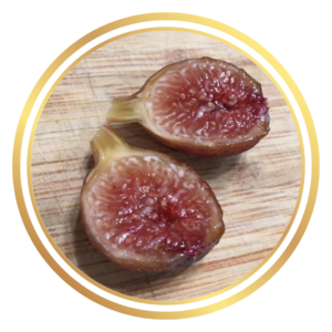 Celeste Sugar Fig Tree