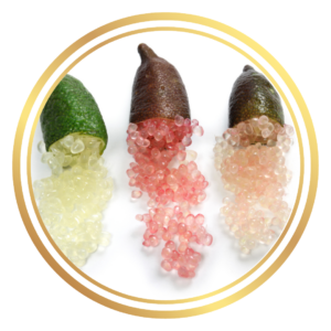 Finger Lime
