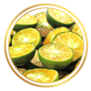 Calamansi Calamondin Fruit Tree