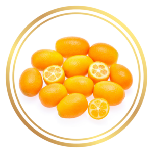 Fruit Tree Kumquat Cumquat Nagami