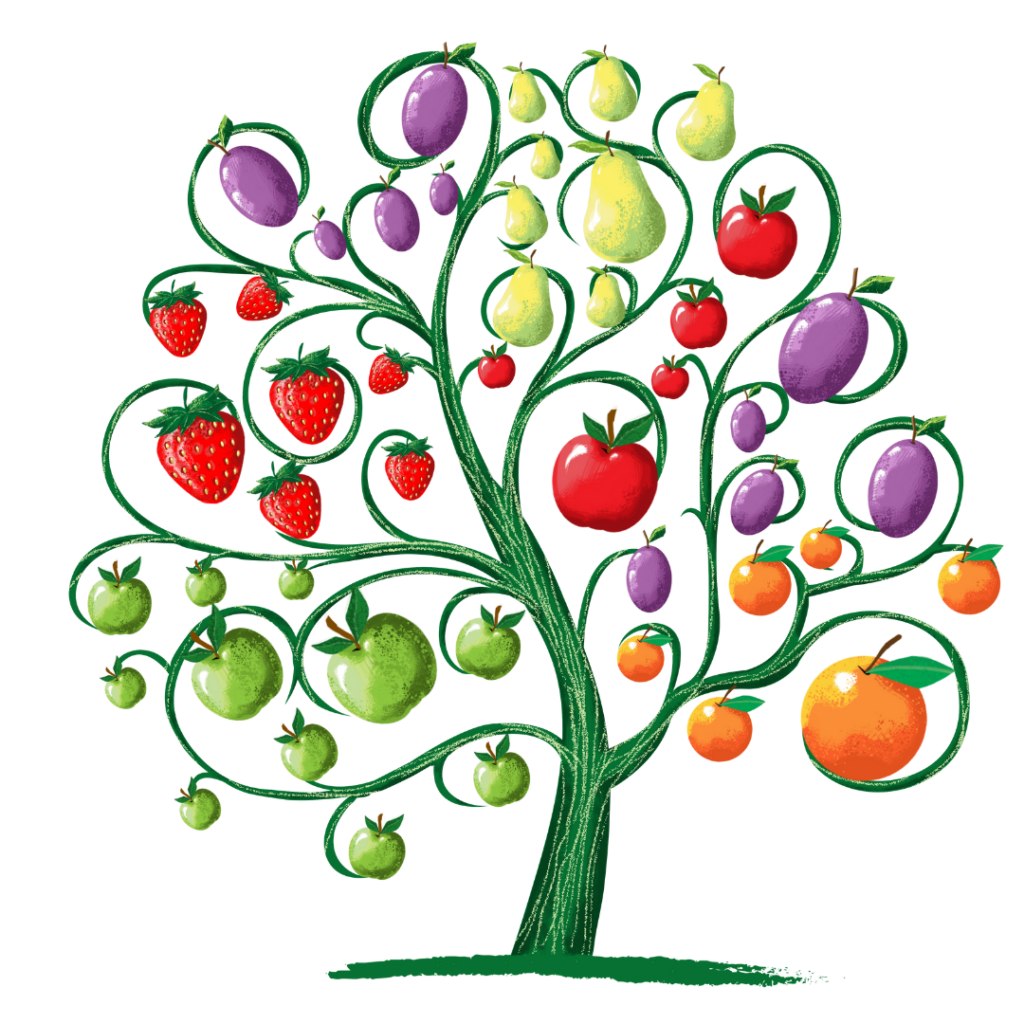 Fruit Trees as a Present this Holiday Season - perthfruittree