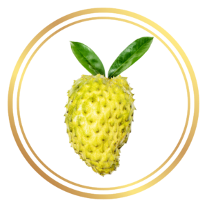 Golden Soursop Fruit Tree