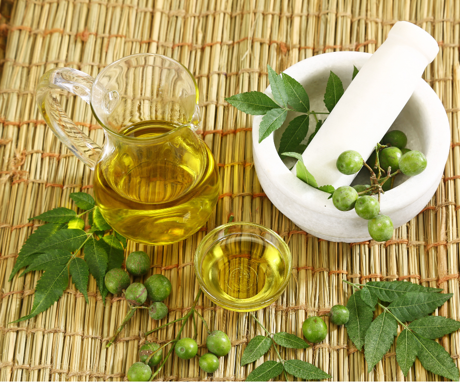 How to Use Neem Oil for your Plants - perthfruittree