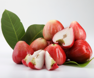 Is Wax Jambu a Fruit Let's Find Out! - perthfruittree