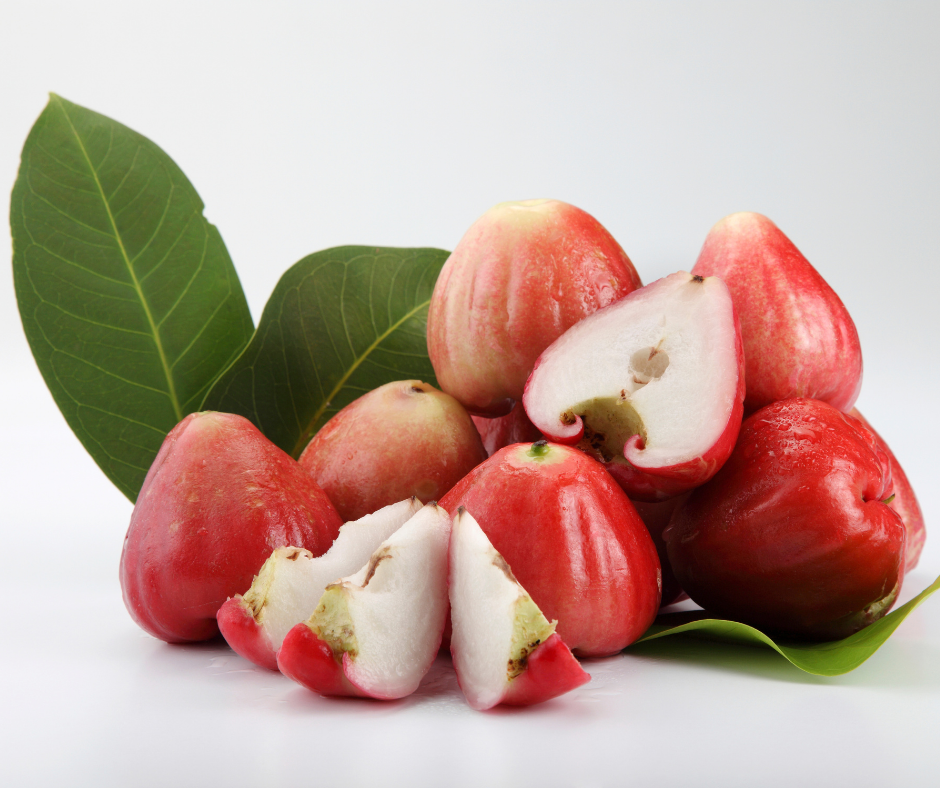 Is Wax Jambu a Fruit Let's Find Out! - perthfruittree