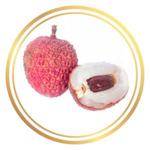 Lychee Erdon Lee Fruit Tree