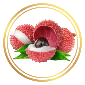 Lychee Red Ball Fruit Tree