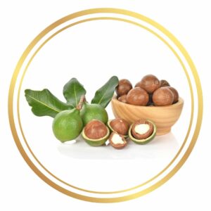 Macadamia Tree Perth