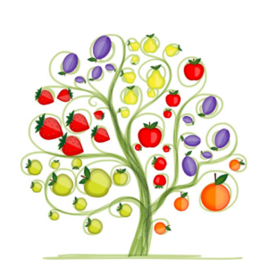 Multi Grafted Category