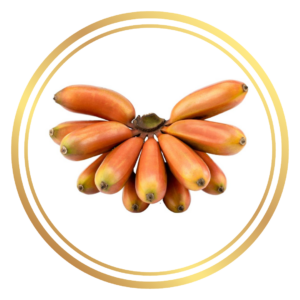 Red Dacca Banana Tree