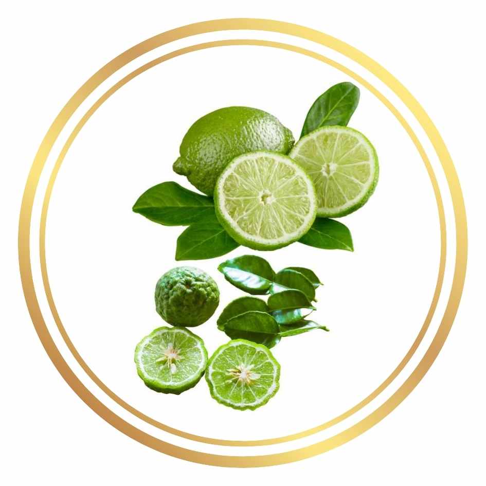 TAHITIAN AND KAFFIR LIME Perth