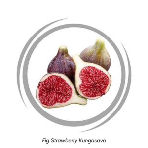 Some Facts about Figs - perthfruittree
