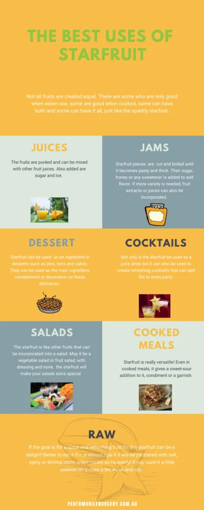 Starfruit's Versatility - perthfruittree