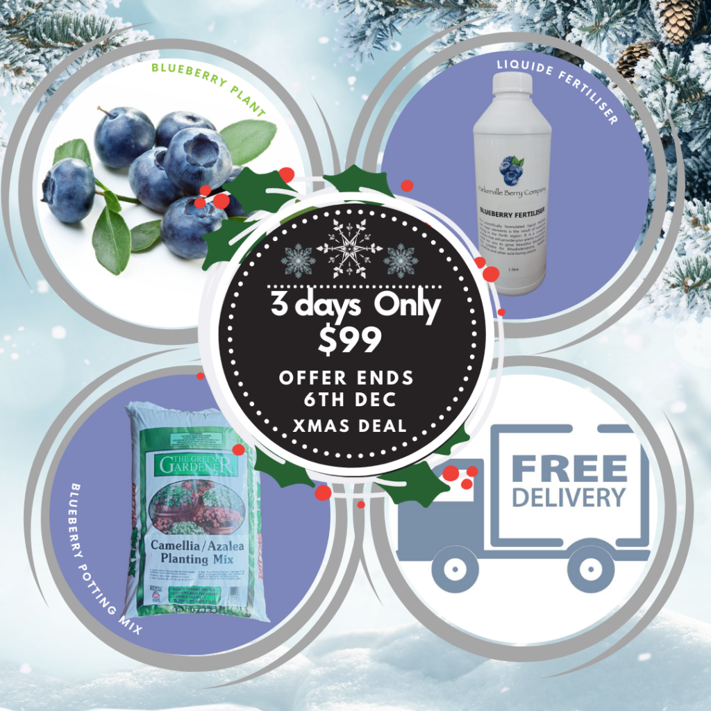 Today is the Last Day sale - perthfruittree