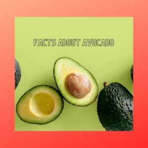 Tricky Avocado - perthfruittree