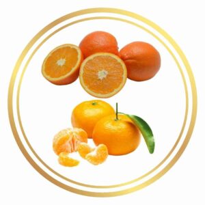 Twin Grafting Orange and Mandarin Perth