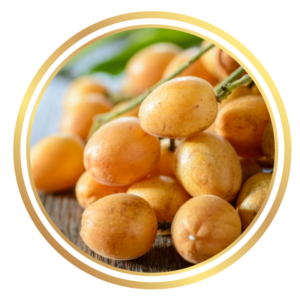 Wampee Wampi Fruit Tree