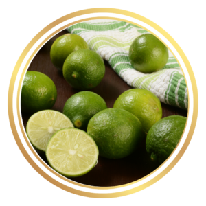 West Indian Lime Key Lime