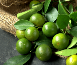 What Calamansi can do for Us - perthfruittree