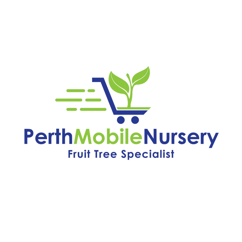 Who are we - perthfreuittree