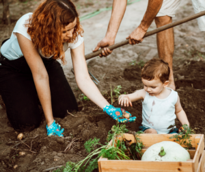 Why long weekends are - perthfruittree