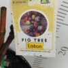 Fig Tree Lisbon Perth