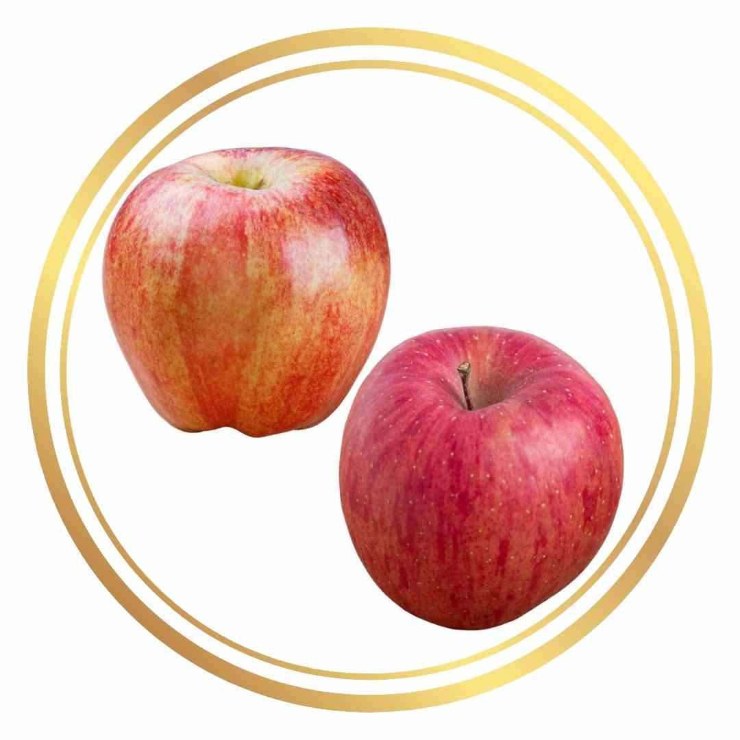 Apple Gala and Fuji Red 2-Way Fruit Tree