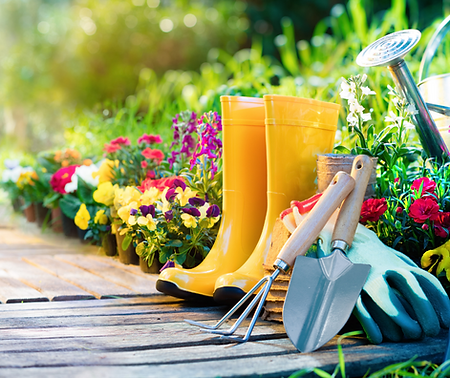 5 Reasons Why Gardening can Make you Healthy 2 - perthfruittree