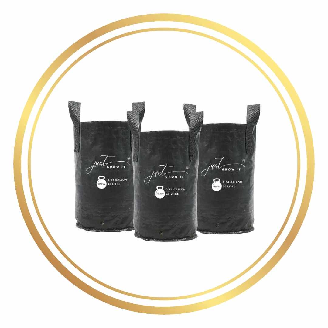 Grow Bag 10L