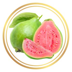 Hawaiian Pink Guava Fruit Tree