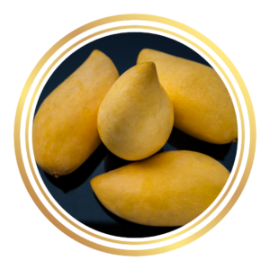 Nam Dok Mai Mango Tree Thailand Variety