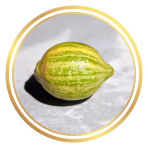 Variegated Lemon Eureka