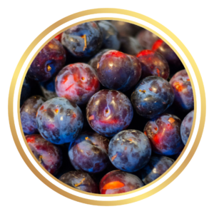 Dwarf Spring Plumcot