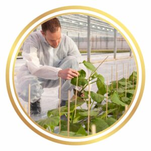 Fungicides Insecticides and Fertiliser Treatment