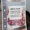 Ben Hur Pomegranate Perth