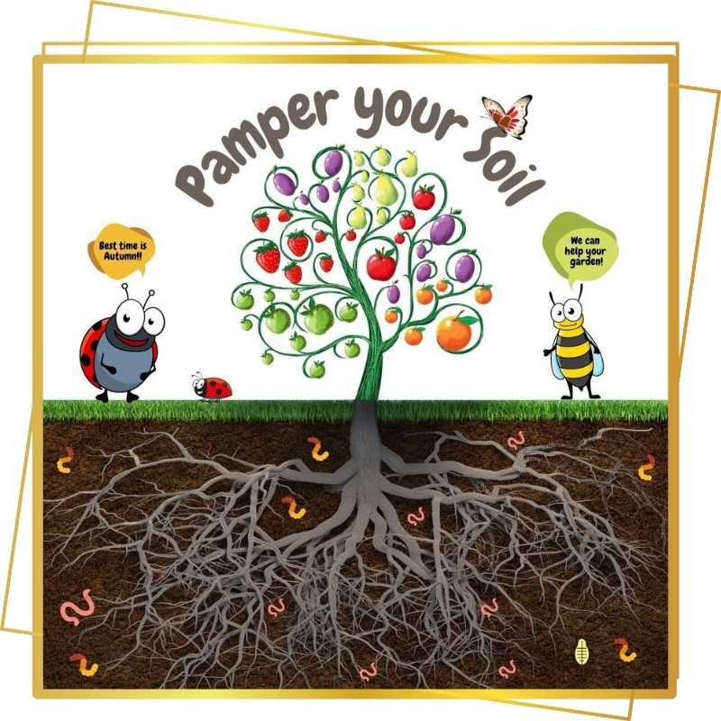 A cartoon illustration promoting soil care with a fruit tree, ladybugs, a bee, a butterfly, and earthworms. The text reads "Pamper your Soil," with a ladybug saying "Best time is Autumn!!" and a bee saying "We can help your garden!".