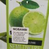 Mosambi Sweet lime Perth